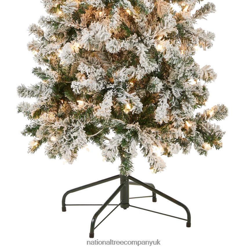 Trees | National Tree Company First Traditions Pre-Lit Acacia Flocked Tree Medium Christmas Tree Clear Incandescent Lights Plug In 6 ft F2L4F41